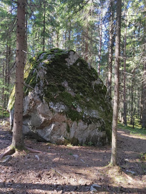 Kintulammi Nature Experience (Nature reserve near Tampere) - Booking advice and final verdict