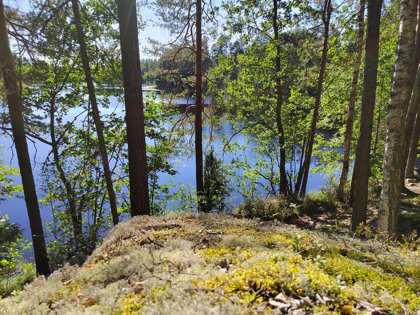 Kintulammi Nature Experience (Nature reserve near Tampere) - What $106 buys you