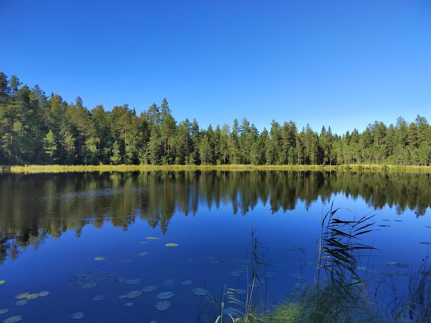 Kintulammi Nature Experience (Nature reserve near Tampere) - Fitness, access, and practical comfort