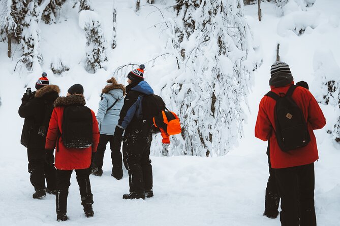 Korouoma Canyon Frozen Waterfalls - Guides who make the day easier