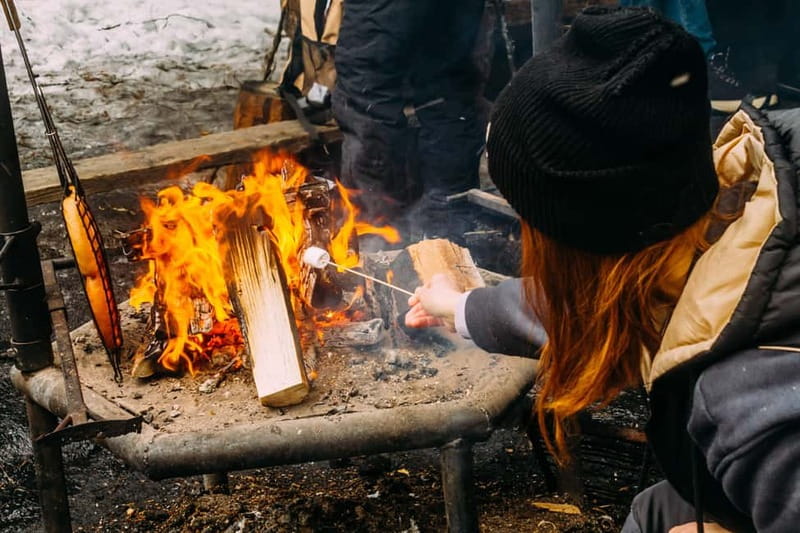 Korouoma Canyon: Frozen Waterfalls Hike & BBQ Experience - Who should book this hike?