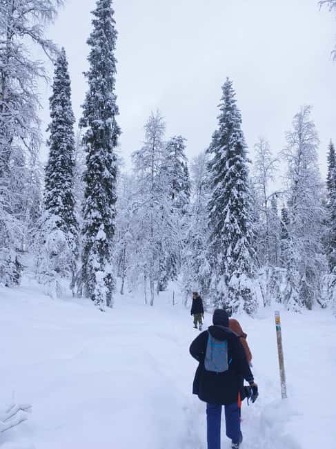 Korouoma Canyon Frozen Waterfalls Hike & Private Teepee BBQ - What makes this Korouoma day trip worth your time