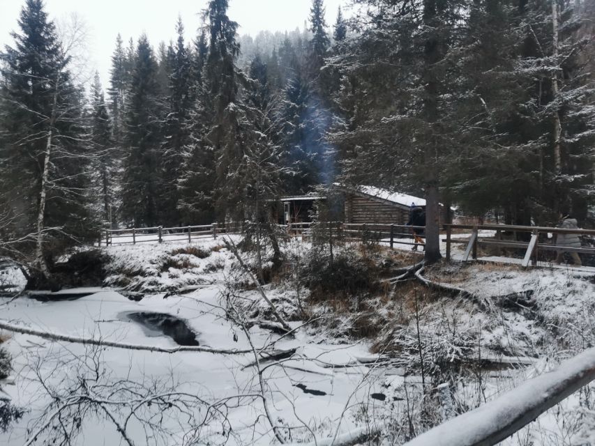 Korouoma Canyon Frozen Waterfalls Hike & Private Teepee BBQ - Ice, geology, and the chance of wildlife signs