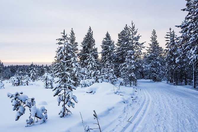 Korouoma Canyon Snowshoe Trip - Who will enjoy this Korouoma outing?