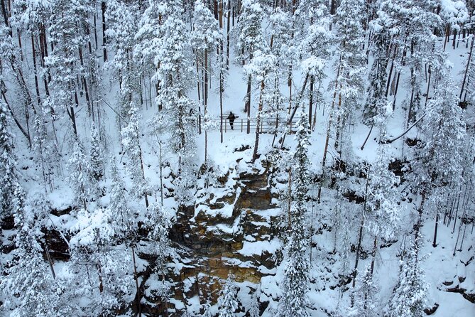 Korouoma Frozen Waterfalls Hiking Tour - Is $155.77 good value?