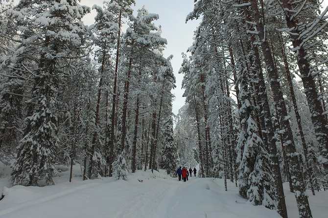 Korouoma national park and frozen waterfalls hiking tour - Leaving Rovaniemi at 9:00 a.m.