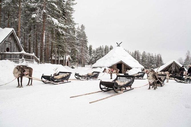 Kuoksa Reindeer Farm Visit with a Short Sleigh Ride - Key points to know before you book