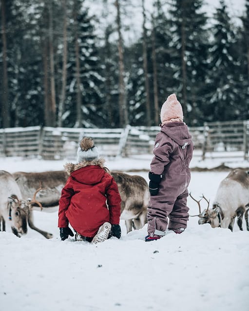 Kuusamo: Reindeer Farm Visit - Is $31 a fair price?