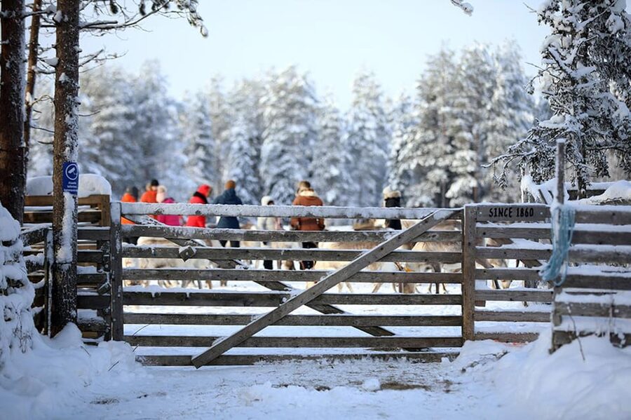 Kuusamo: Reindeer Farm Visit - Who will enjoy this farm visit?