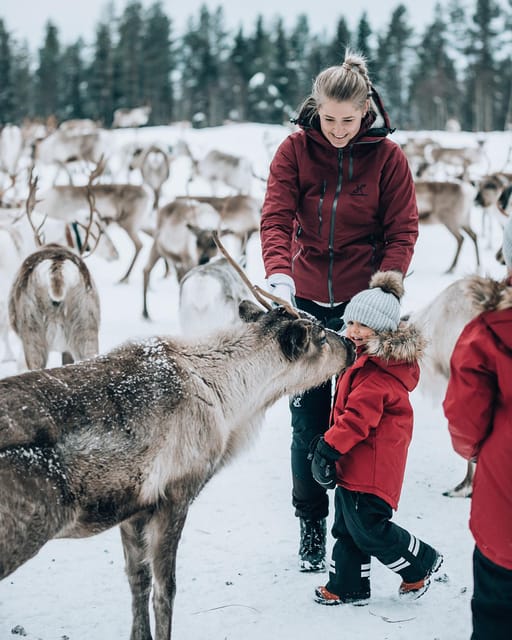 Kuusamo: Reindeer Farm Visit - The strongest part of the experience