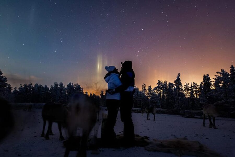 Kuusamo: Reindeer Farm Visit - What happens during the one-hour visit
