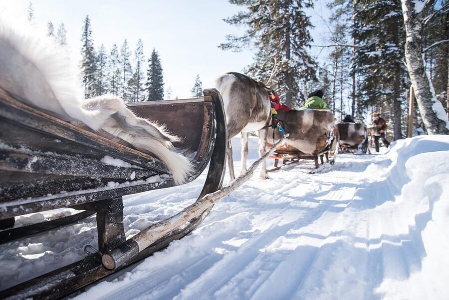 Kuusamo: Reindeer Sleigh Ride and Farm Visit - What happens during the 1.5-hour visit