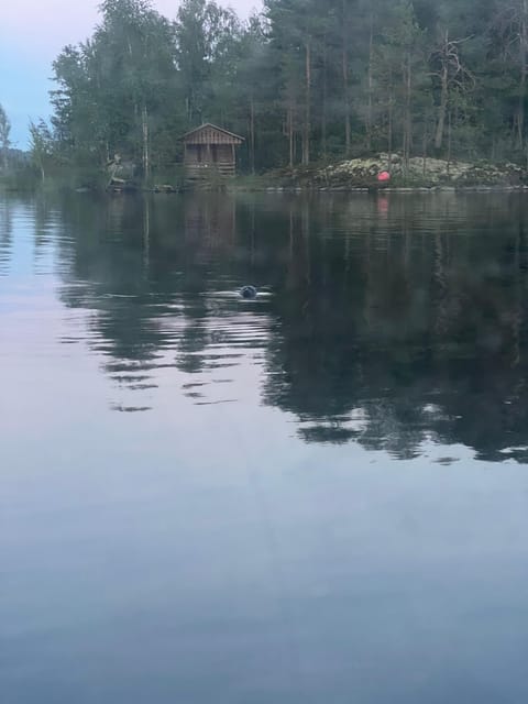 Lake Saimaa story cruise by Ecoboat in Puumala - Why a short Saimaa cruise works so well