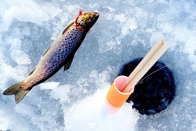 Lakeside Sauna Trip with Ice Fishing and Ice Swimming - Group size, timing, and booking details
