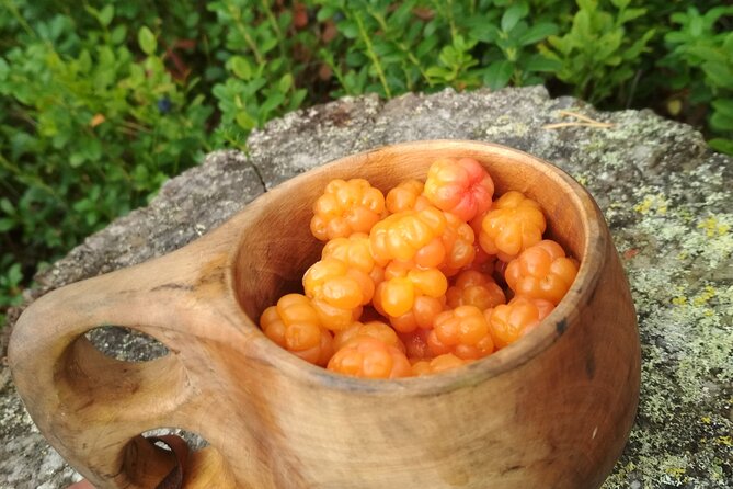 Lapland Berry Day Experience - Walking into the Arctic forest