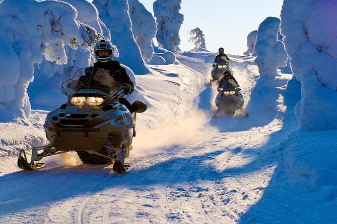 Lapland Family Snowmobile Safari from Levi - Children’s sled ride with blankets