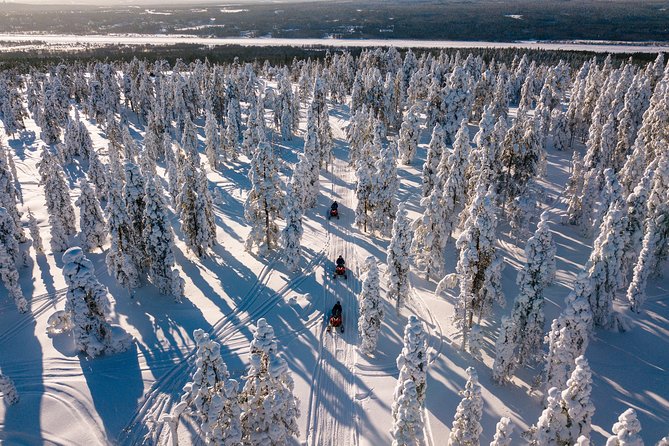 Lapland Family Snowmobile Safari from Levi - Mini-skidoos on a special track