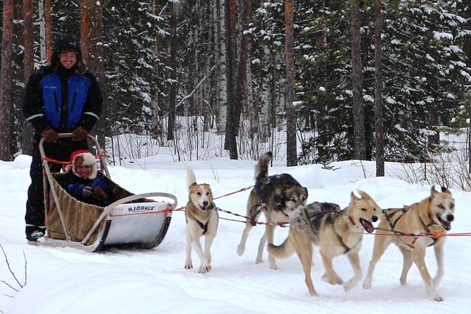 Lapland Husky Safari from Saariselkä - Pickup is convenient, but confirm the details