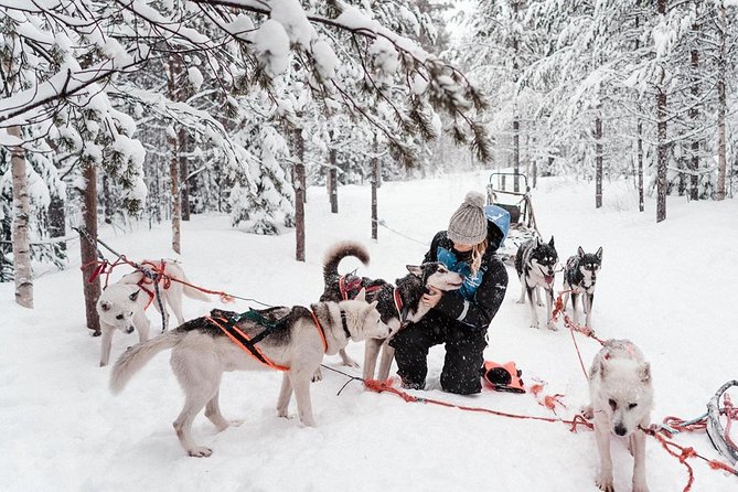 Lapland Husky Safari from Saariselkä - Who will enjoy this most