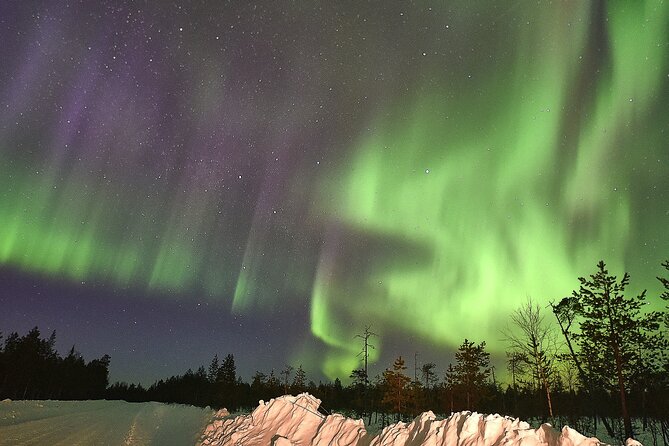 Lapland In A Day - Reindeer, Sledding, Snowmobile & Nature - Downhill sledding for a little extra speed