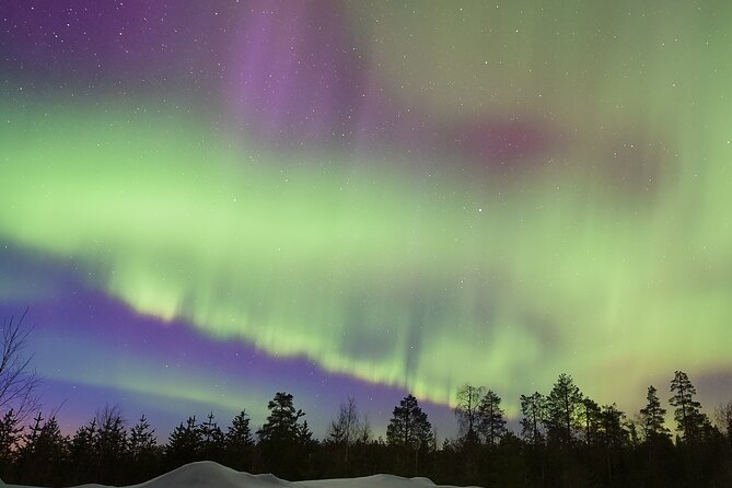 Lapland In A Day - Reindeer, Sledding, Snowmobile & Nature - A lantern-lit trail through the Arctic forest