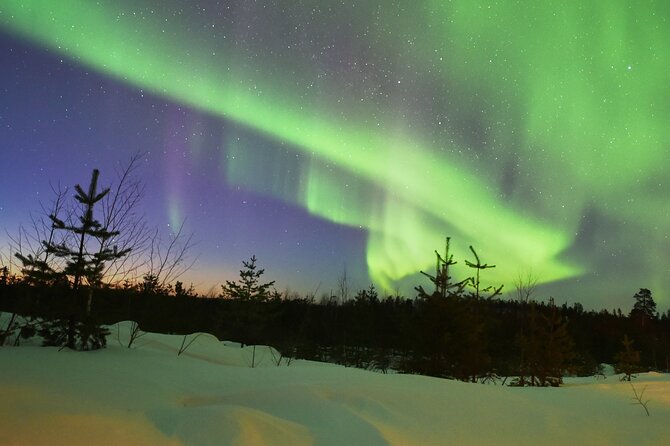 Lapland In A Day - Reindeer, Sledding, Snowmobile & Nature - Aurora hopes, with no promise of northern lights