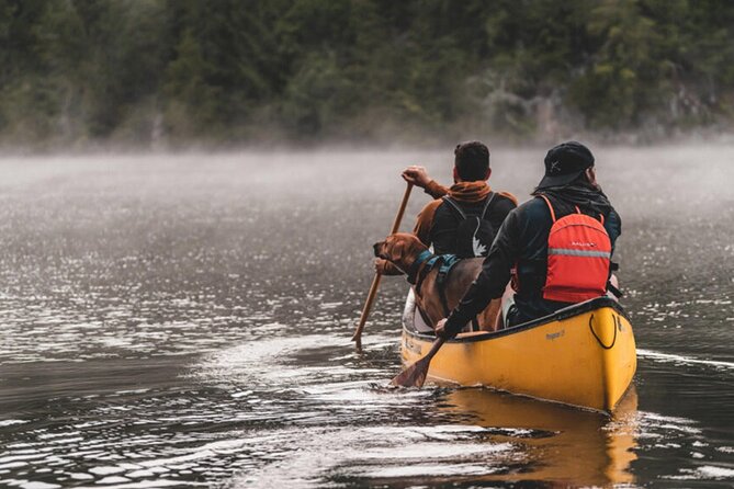 Lapland Kayak Adventure in Rovaniemi - Breaks and the option to swim