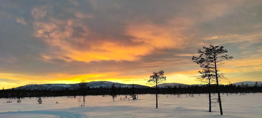 Lapland: Private Snowmobile Safari with arctic Local Guide - Getting dressed for temperatures below minus 20 degrees