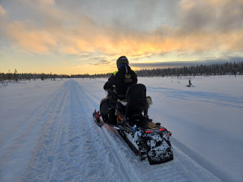 Lapland: Private Snowmobile Safari with arctic Local Guide - Riding through Luosto Mountain Area