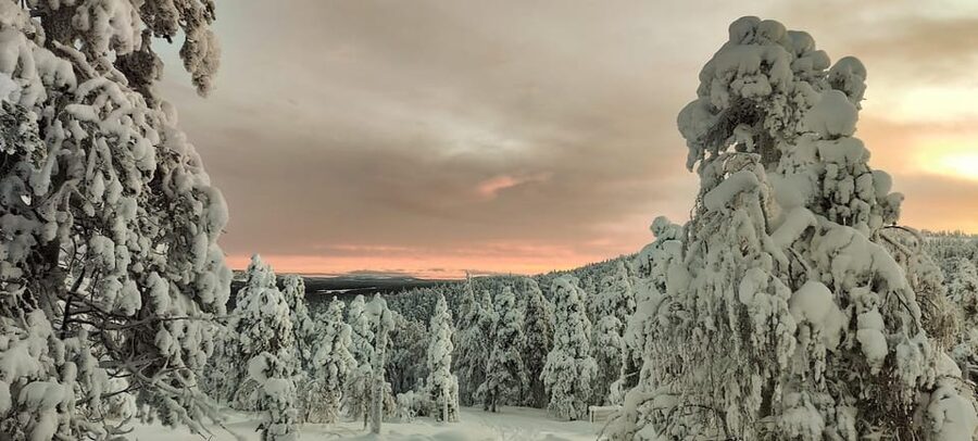 Lapland: Private Snowmobile Safari with arctic Local Guide - Pickup from Luosto and the Pyhä area