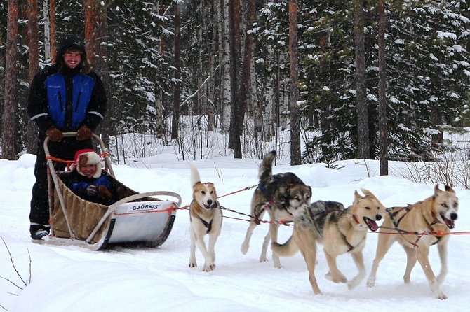 Lapland Reindeer and Husky Safari from Rovaniemi - Reindeer riding is gentle, not dramatic