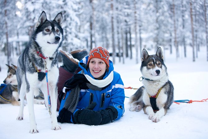 Lapland Reindeer and Husky Safari from Rovaniemi - At the reindeer farm: feeding, stories, and a short sleigh ride