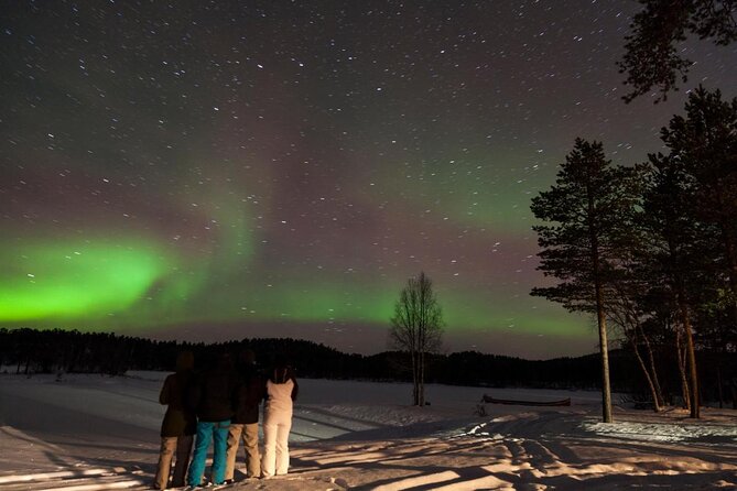 Lapland Reindeer Safari From Saariselkä - Key points to know before booking