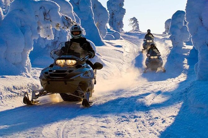 Lapland Snowmobile Safari from Levi - Key points before you book