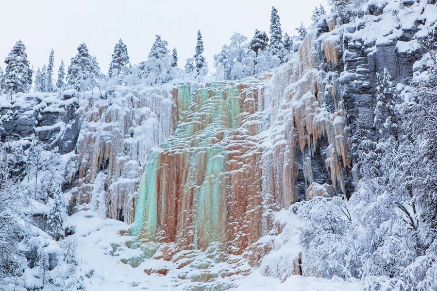 Lapland: The Frozen Waterfalls of Korouoma Tour - Entering the snowy Arctic Circle forest