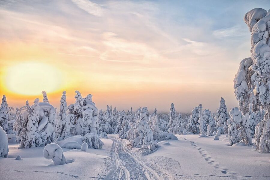 Lapland: The Frozen Waterfalls of Korouoma Tour - How the $210 price measures up