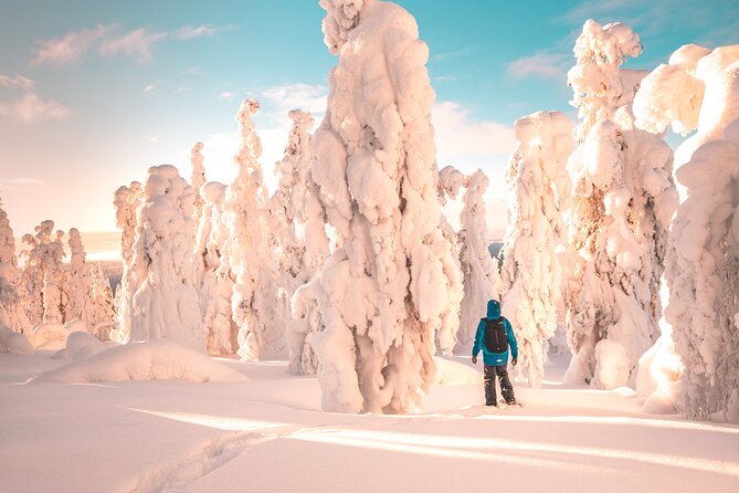 Lapland Winter Experience - What makes this snowshoe outing worth considering