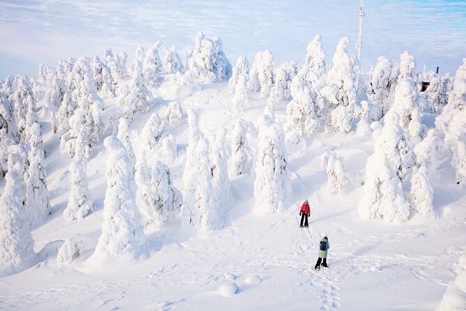 Lapland Winter Experience - Is $119.27 fair value?