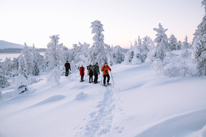 Lapland Winter Experience - Forest trails, frozen water, and a panoramic stop