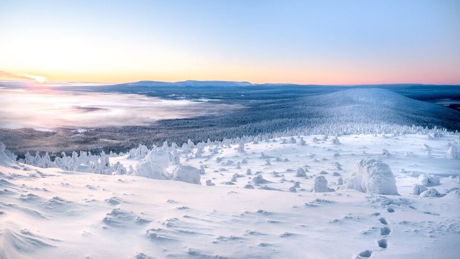 Levi: 4 Hour Snowmobile Safari to the Fells in Levi - Guides make a real difference