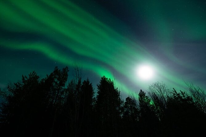 Levi: Aurora Borealis Tour and Stargazing Experience - Telescope time under the Arctic sky
