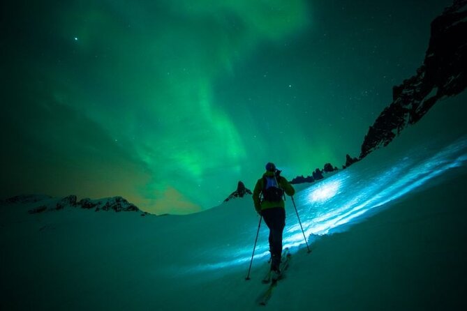 Levi: Aurora Borealis Tour and Stargazing Experience - Campfire food and a warm shelter