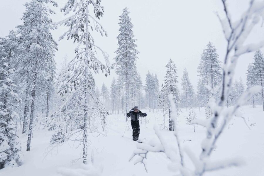 Levi: Backcountry Skiing Adventure - Should you book the Levi backcountry ski tour?