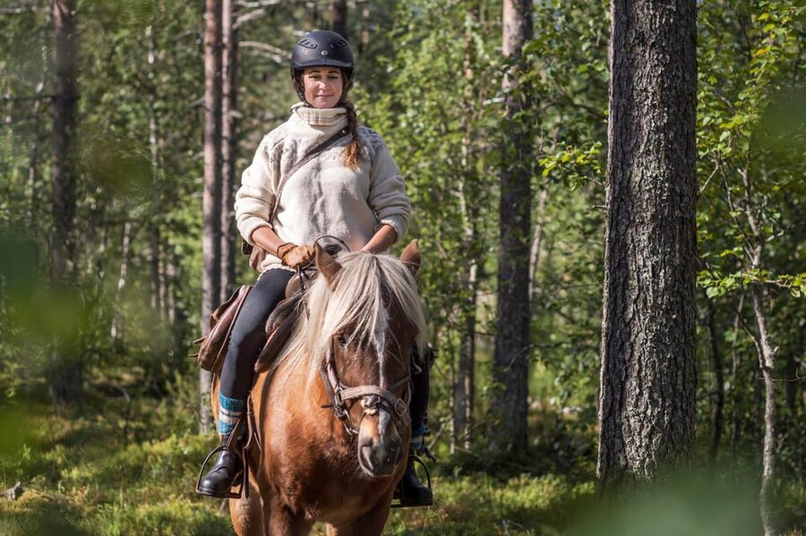Levi: Evening Horseback Ride with Northern Lights - Key points to know before you book