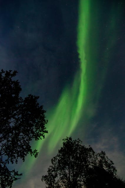 Levi: Evening Horseback Ride with Northern Lights - Why the horses matter for first-time riders
