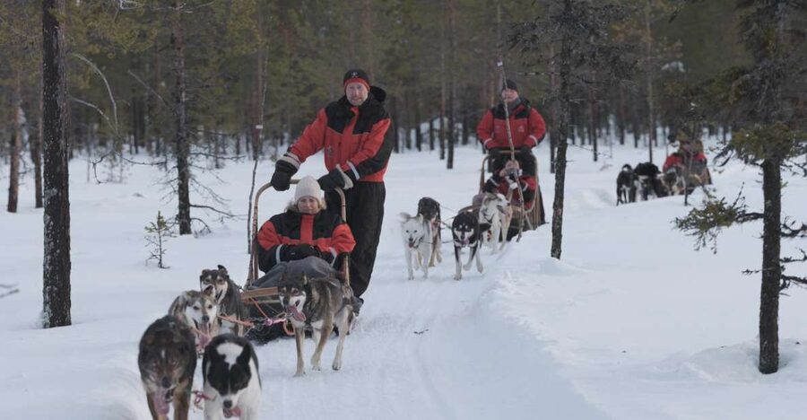 Levi: Evening Husky Sled Ride under the Northern Lights - Key points to know before booking