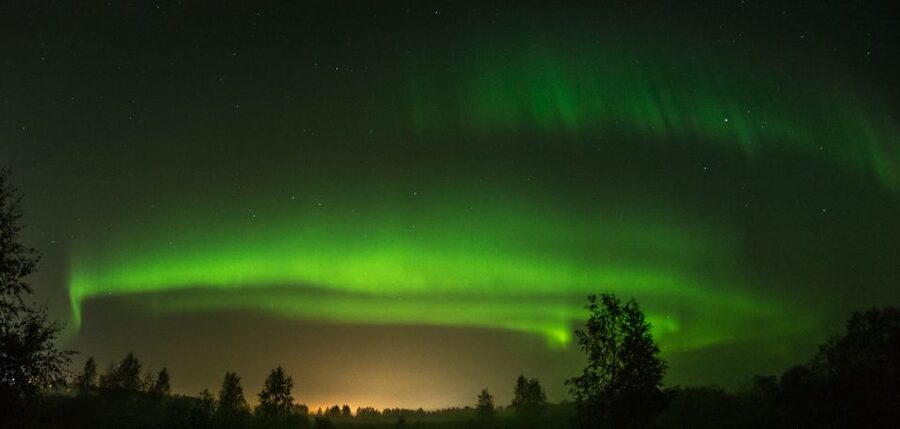 Levi: Evening Husky Sled Ride under the Northern Lights - The husky ride through Sirkka’s snowy forest