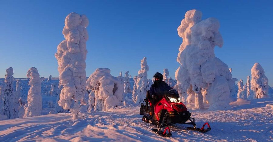 Levi: Evening Snowmobile Safari - Riding through the evening forest