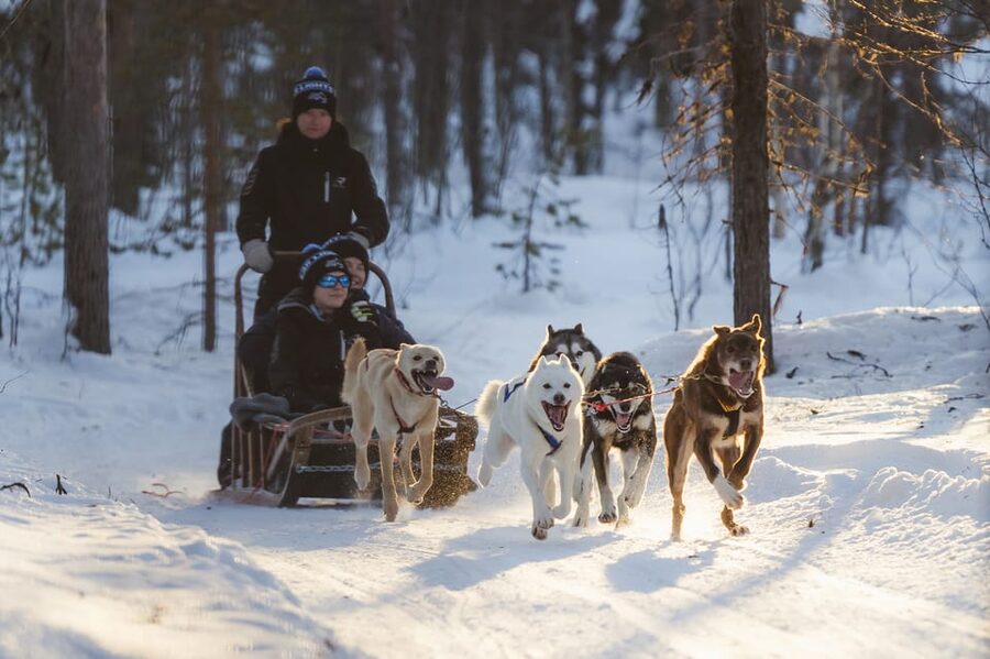 Levi: Follow the Elves – One day husky safari - The 15-minute safety briefing