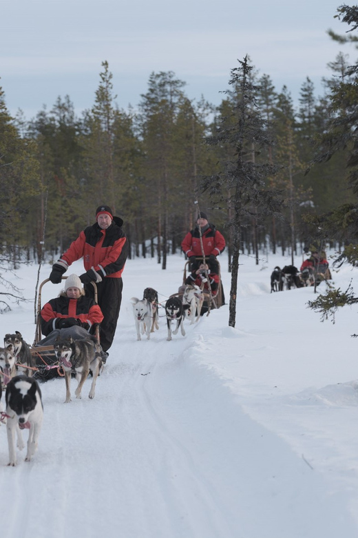 Levi: Follow the Elves – One day husky safari - Four hours on the husky trail